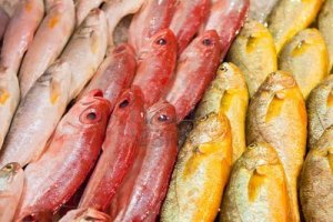 35c0a-9682147-fresh-fish-at-a-fish-market